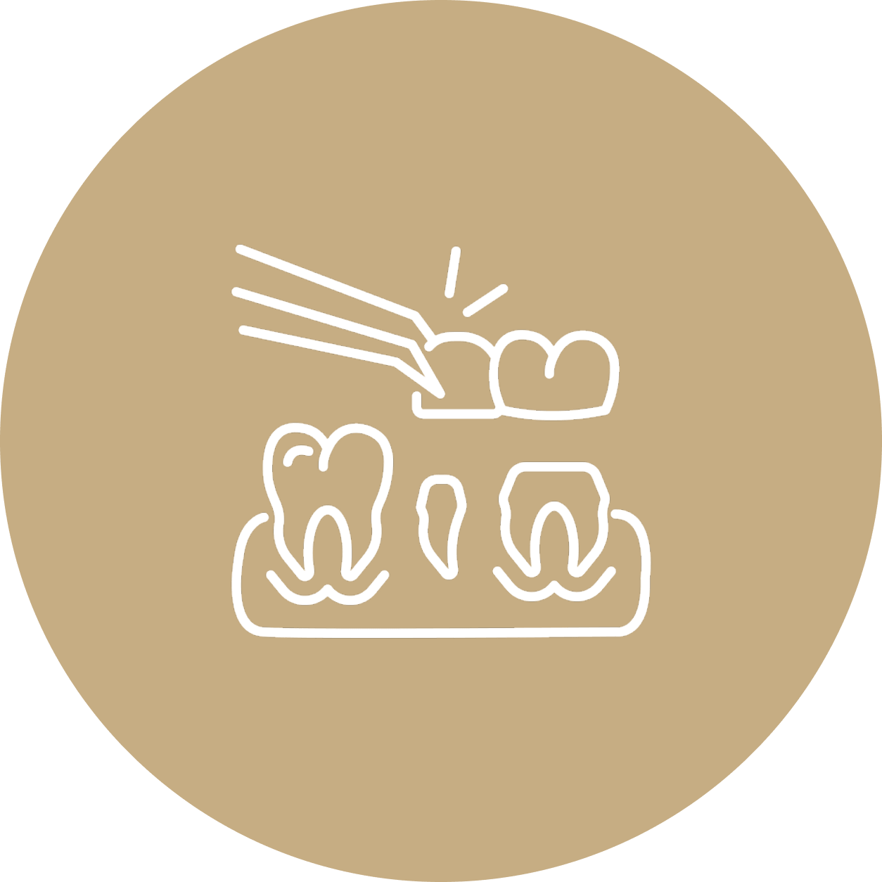 Bridge Icon