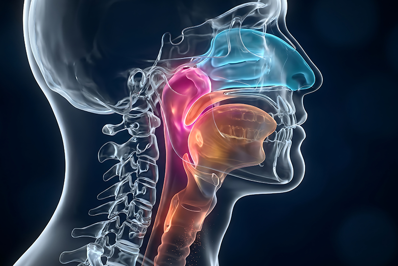 illustration of obstructive sleep apnea