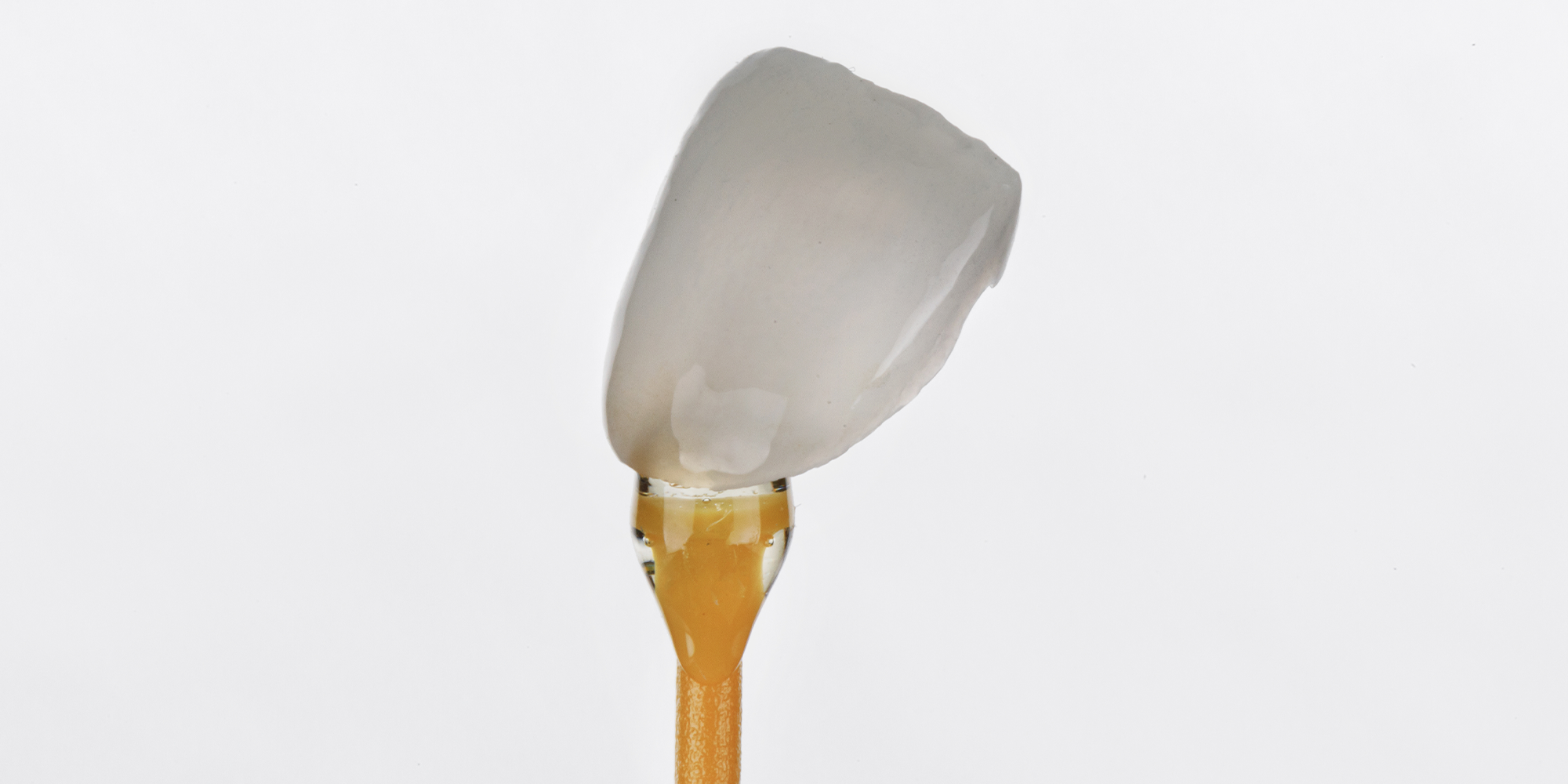 porcelain veneer on a stick